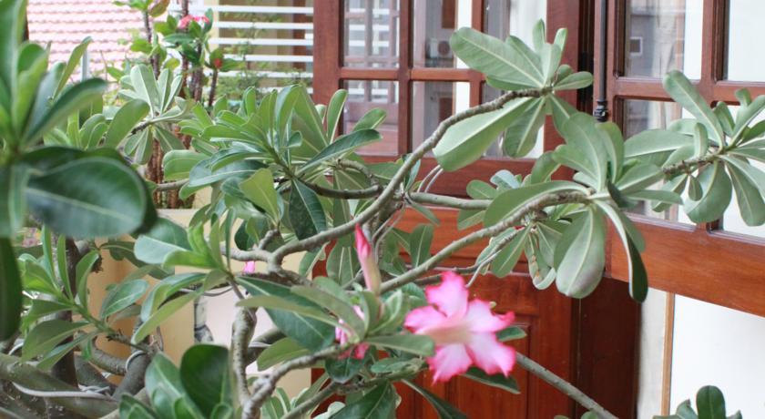 Phong Lan Guesthouse Hue Luaran gambar